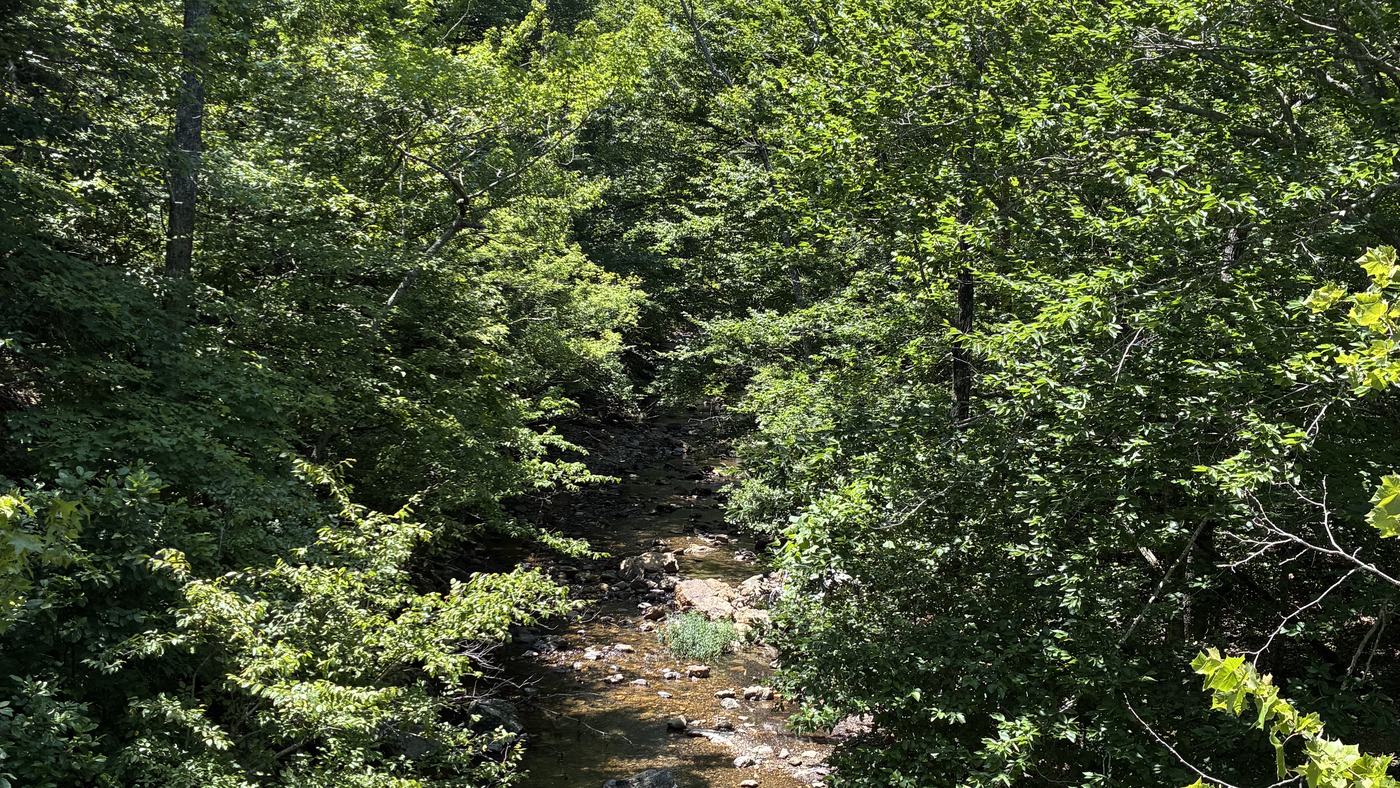 A clear creek running through the hardwood forest along a hiking trail in the Ouachita National Forest near Mena, Arkansas