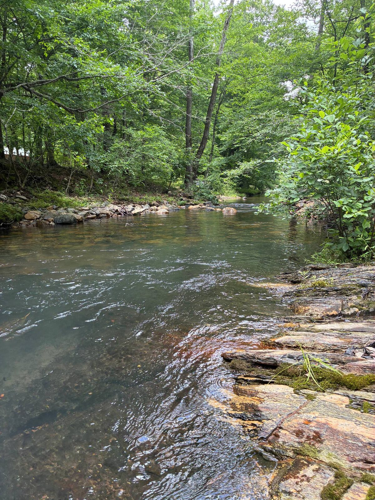 Sugar Creek running clear over rock ledges under the hardwoods below the cabin