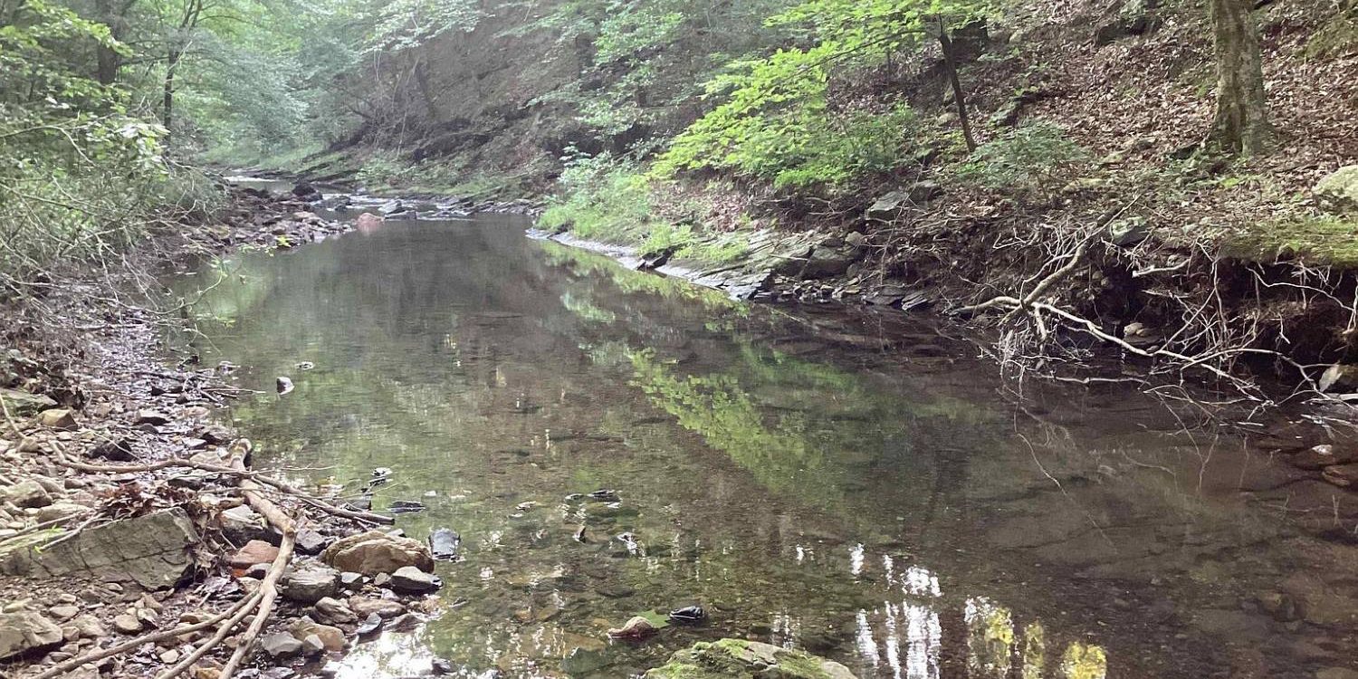 A still pool on Sugar Creek reflecting the forest canopy