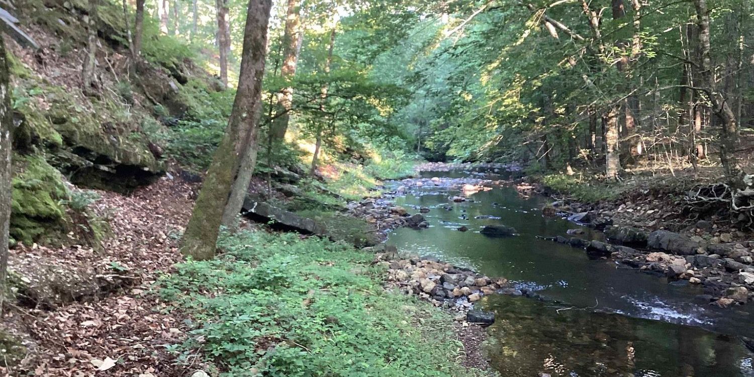 Sugar Creek tumbling over rocks below the mossy bluff near the cabin